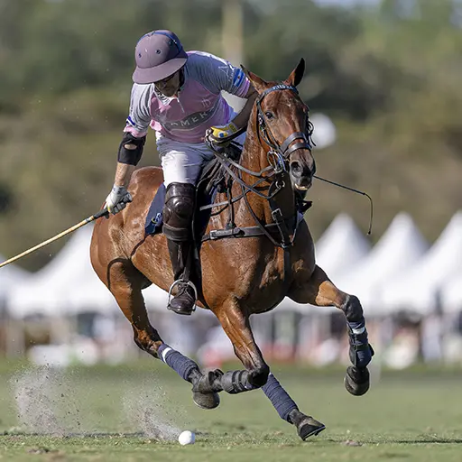 Alejandro Poma - Plyrs Polo Club